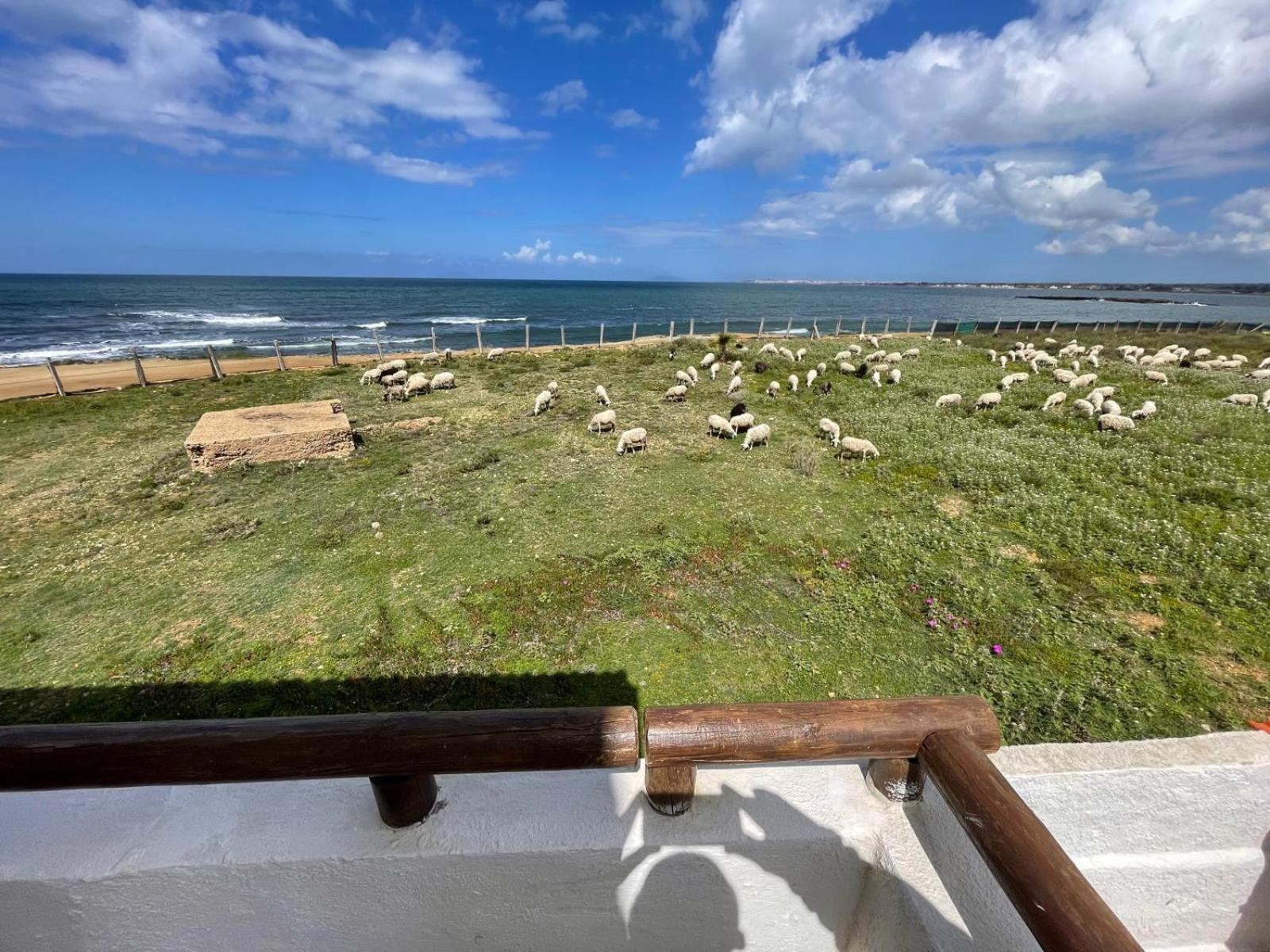Casa Al Mare Con Splendita Vista Sul Mare Petrosino Exterior foto